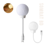 Moon Light Voice Controlled LED Lamp